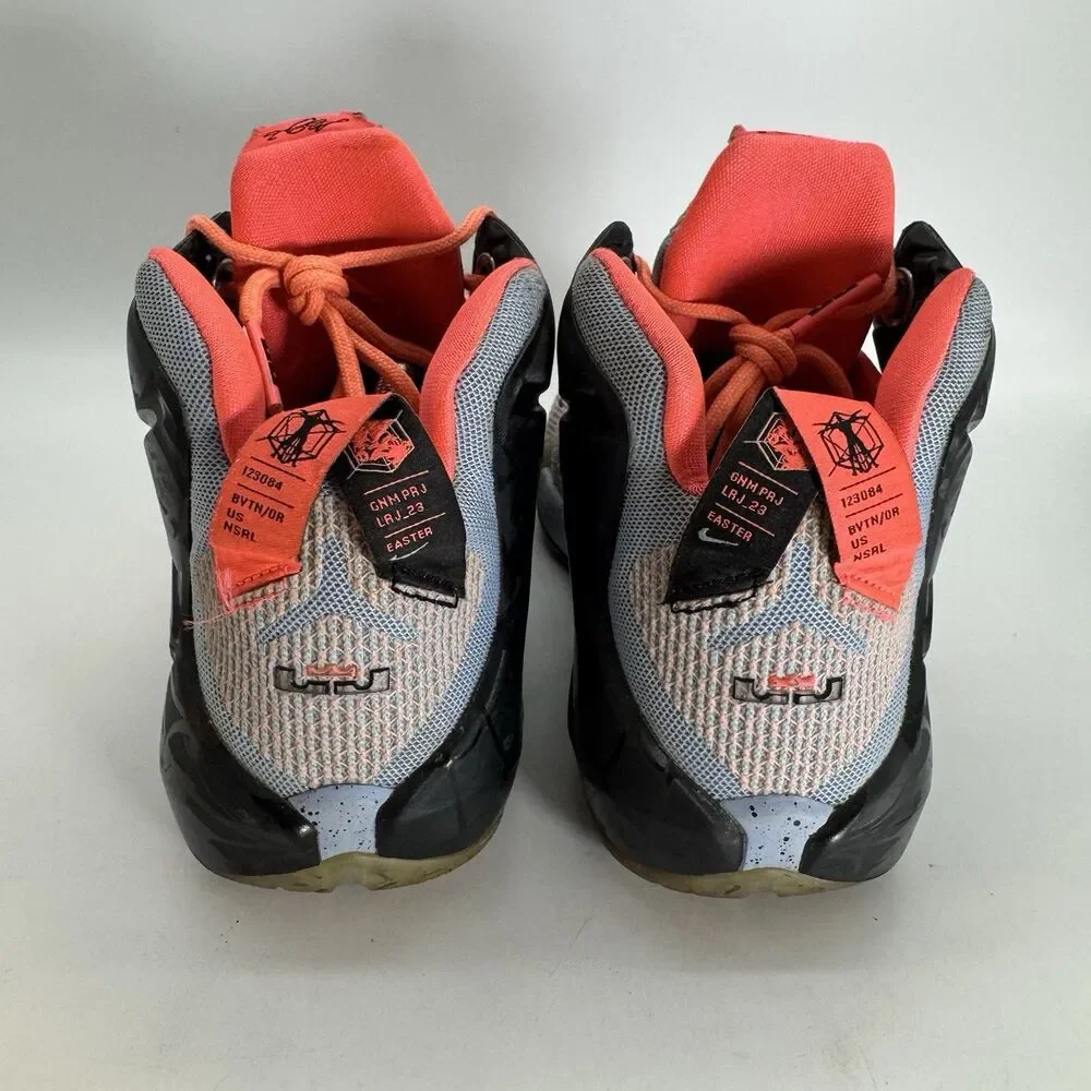 Nike Lebron XII GS Aluminum Sunset Glow 685181-488 sz 7Y Easter Athletic Sneaker